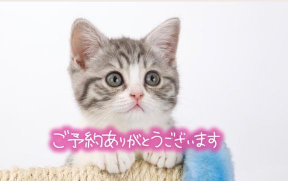 ご予約ありがとうございます