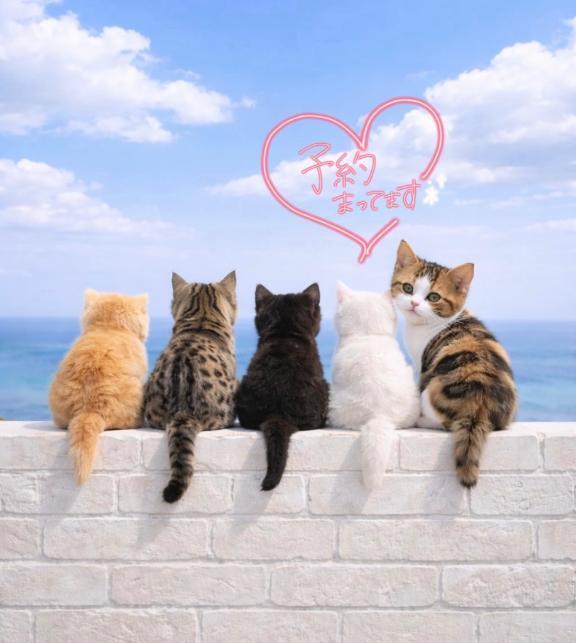 来週空き枠あります｜写メ日記｜まりか｜池袋 人妻デリヘル 素人妻達☆マイふぇらレディー