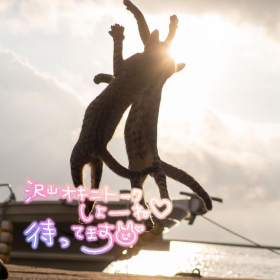 寂寥感( ._.)｜写メ日記｜さえ｜池袋 人妻デリヘル 素人妻達☆マイふぇらレディー