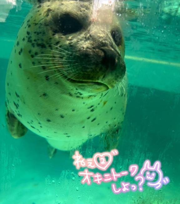 代償がデカイ！｜写メ日記｜さえ｜池袋 人妻デリヘル 素人妻達☆マイふぇらレディー