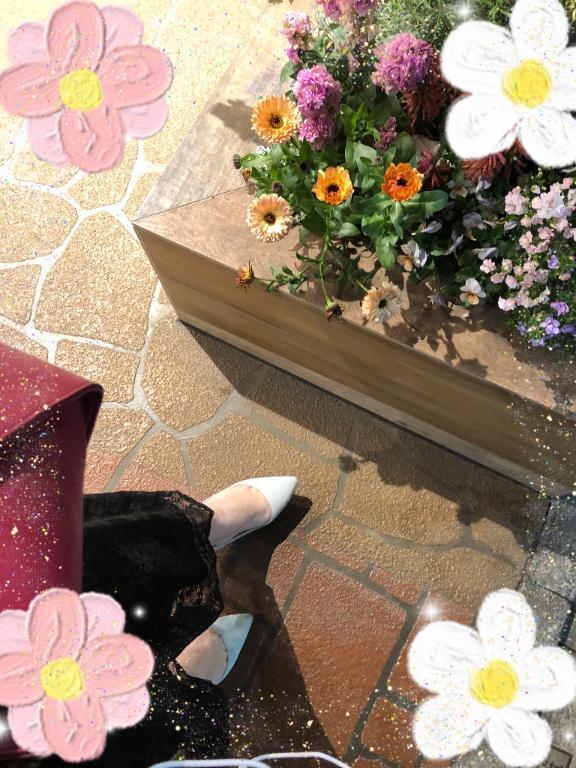 [お題]from:ブランドの鞄さん｜写メ日記｜りん｜池袋 人妻デリヘル 素人妻達☆マイふぇらレディー