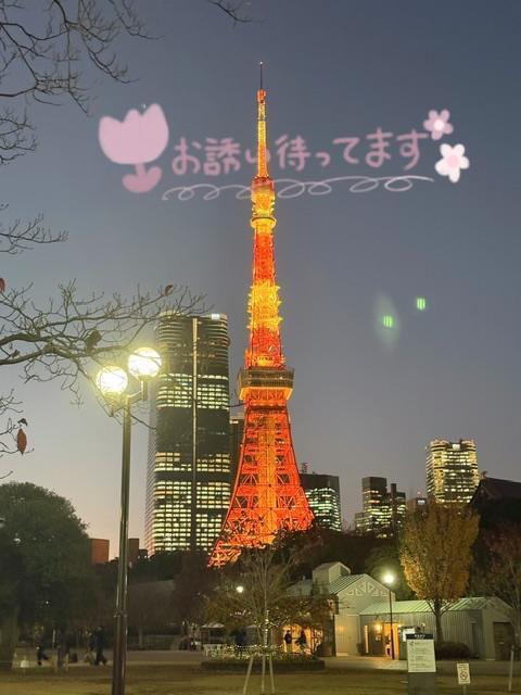 12月もよろしくお願いします｜写メ日記｜みずき｜池袋 人妻デリヘル 素人妻達☆マイふぇらレディー