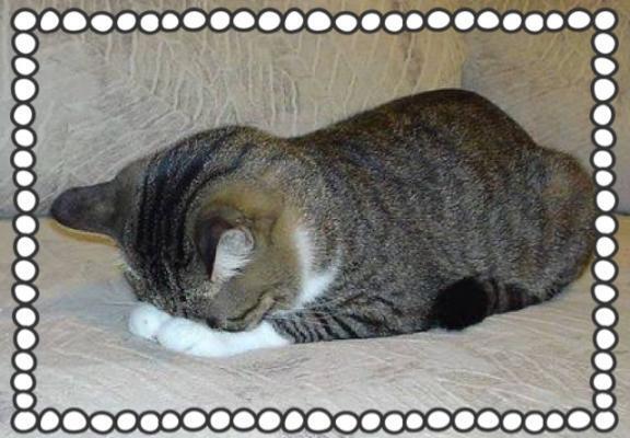 ごめんなさい｜写メ日記｜みおり｜池袋 人妻デリヘル 素人妻達☆マイふぇらレディー