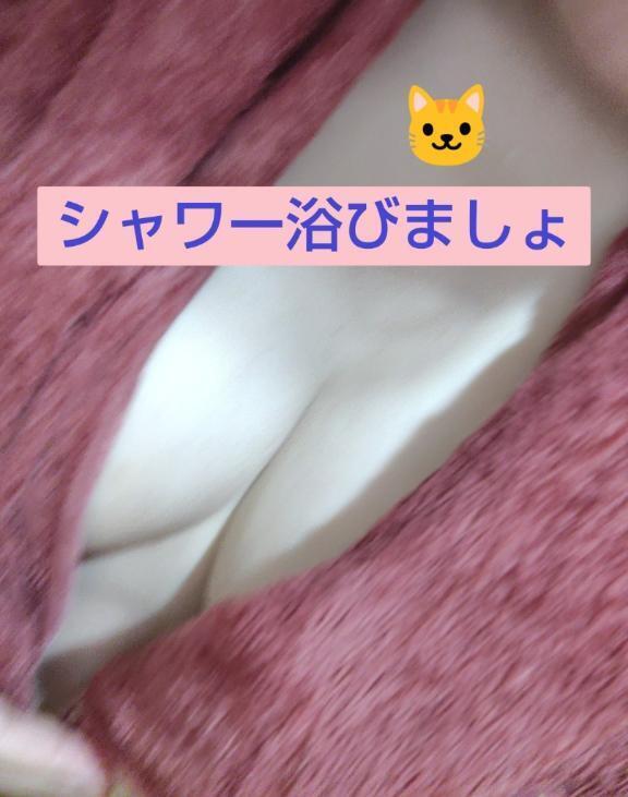 こんにちは｜写メ日記｜かなえ｜池袋 人妻デリヘル 素人妻達☆マイふぇらレディー