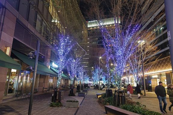 こんばんは()｜写メ日記｜恭子｜池袋 人妻デリヘル 素人妻達☆マイふぇらレディー