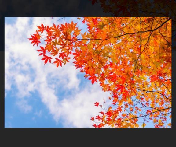 10/20以降について｜写メ日記｜みのり｜池袋 人妻デリヘル 素人妻達☆マイふぇらレディー