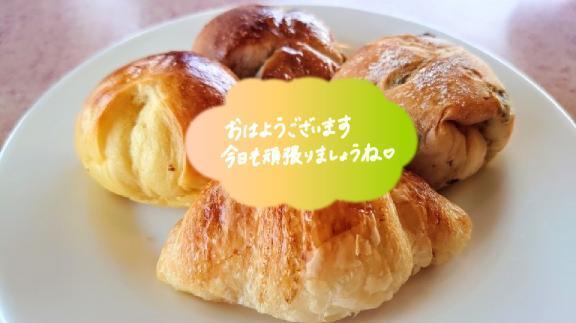 今日も一日頑張りましょう｜写メ日記｜しほ｜池袋 人妻デリヘル 素人妻達☆マイふぇらレディー