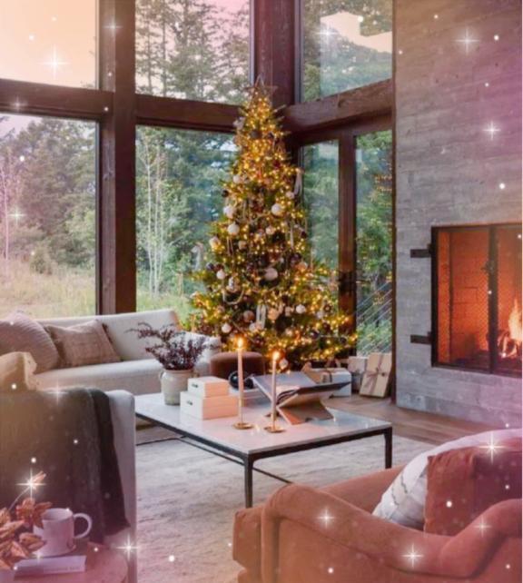 ツリー｜写メ日記｜りの｜池袋 人妻デリヘル 素人妻達☆マイふぇらレディー