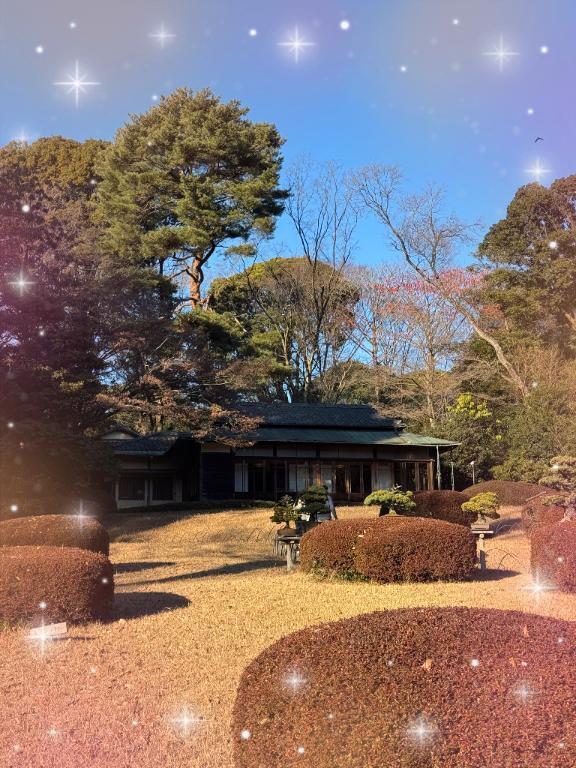 どこでしょう｜写メ日記｜りの｜池袋 人妻デリヘル 素人妻達☆マイふぇらレディー