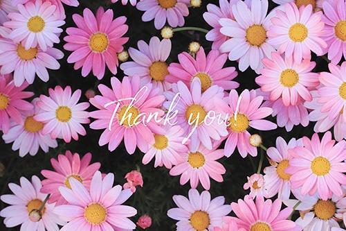 お礼 バリ204 M様｜写メ日記｜ひなた｜池袋 人妻デリヘル 素人妻達☆マイふぇらレディー