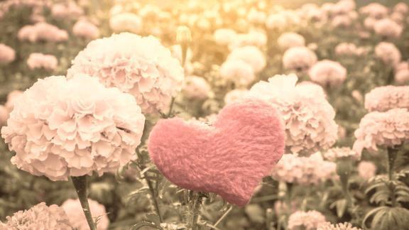 ありがとう｜写メ日記｜雪菜｜池袋 人妻デリヘル 素人妻達☆マイふぇらレディー