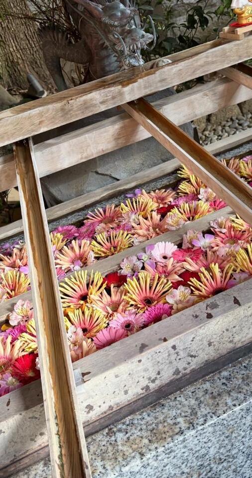 [お題]from:さとるんさん｜写メ日記｜まき｜池袋 人妻デリヘル 素人妻達☆マイふぇらレディー