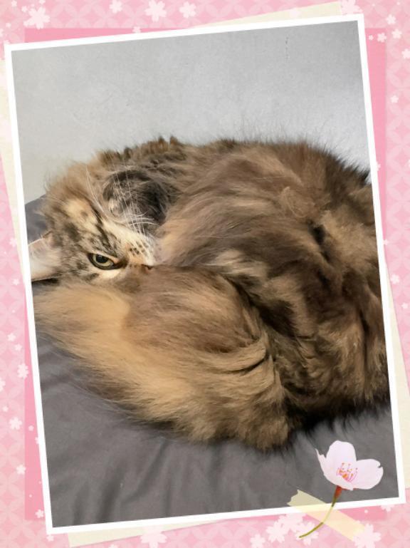 ⭐︎ちらっ👀⭐︎