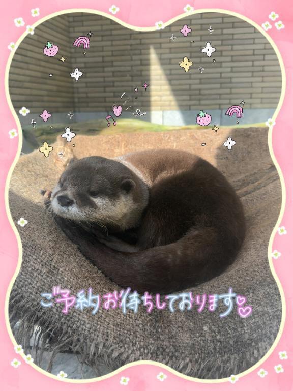 ⭐︎出勤します⭐︎｜写メ日記｜かお｜錦糸町・小岩・葛西 人妻デリヘル 半熟ばなな 錦糸町
