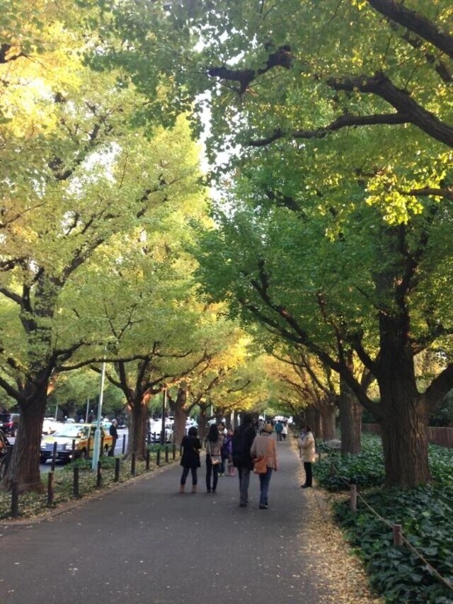 インフルエンザ｜写メ日記｜おとは｜錦糸町・小岩・葛西 人妻デリヘル 半熟ばなな錦糸町