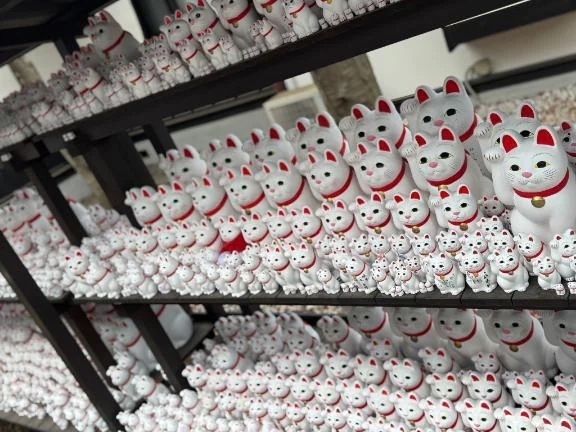 おはようございます｜写メ日記｜おとは｜錦糸町・小岩・葛西 人妻デリヘル 半熟ばなな錦糸町