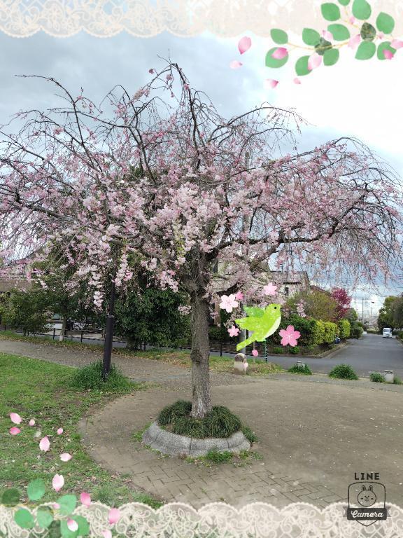 ☆4/27出勤予定です☆｜写メ日記｜さき｜錦糸町・小岩・葛西 人妻デリヘル 半熟ばなな 錦糸町