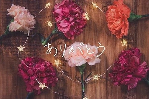 ＊昨日のおれい2＊