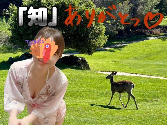 ニューシネマパラダイスとロートレックな1日？｜写メ日記｜みらい｜錦糸町・小岩・葛西 人妻デリヘル 半熟ばなな 錦糸町