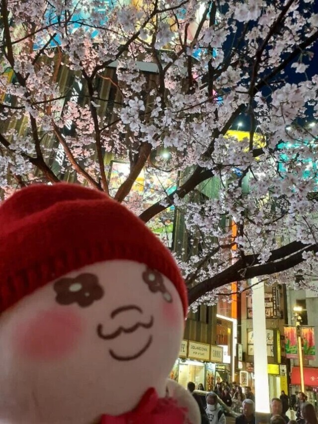 Hey!みんな元気かい？｜写メ日記｜りんね｜錦糸町・小岩・葛西 人妻デリヘル 半熟ばなな錦糸町