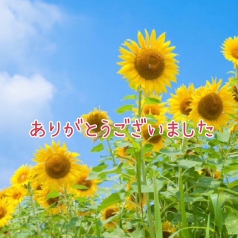 ありがとうございました｜写メ日記｜鈴谷美晴｜鶯谷 人妻デリヘル 熟女パラダイス鶯谷店