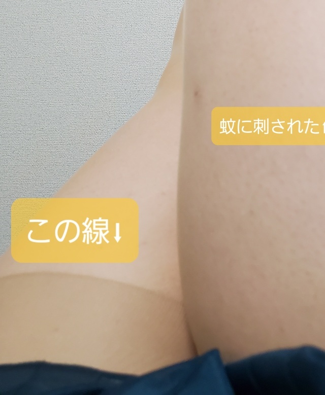 注:この日記は大変長くなっております