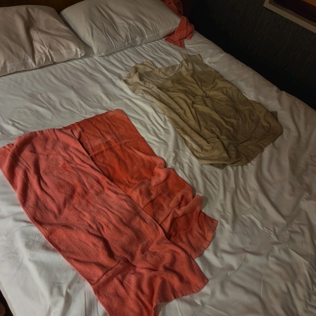 出勤しました(*^^*)｜写メ日記｜愛崎 加奈｜鶯谷 人妻デリヘル 熟女パラダイス鶯谷店