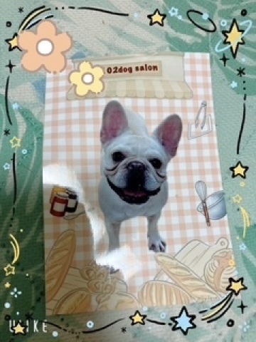 お休み｜写メ日記｜武田 陽子｜鶯谷 人妻デリヘル 熟女パラダイス鶯谷店