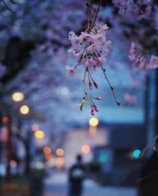 シャルム２　S様｜写メ日記｜五十嵐たまき｜鶯谷 人妻デリヘル 熟女パラダイス鶯谷店