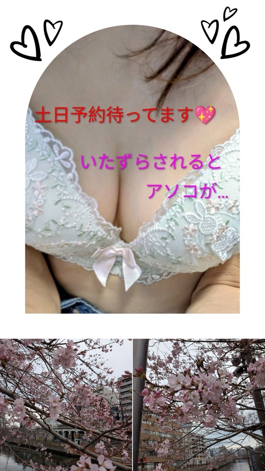 春の季節。西村。｜写メ日記｜西村 祐子｜鶯谷 人妻デリヘル 熟女パラダイス鶯谷店