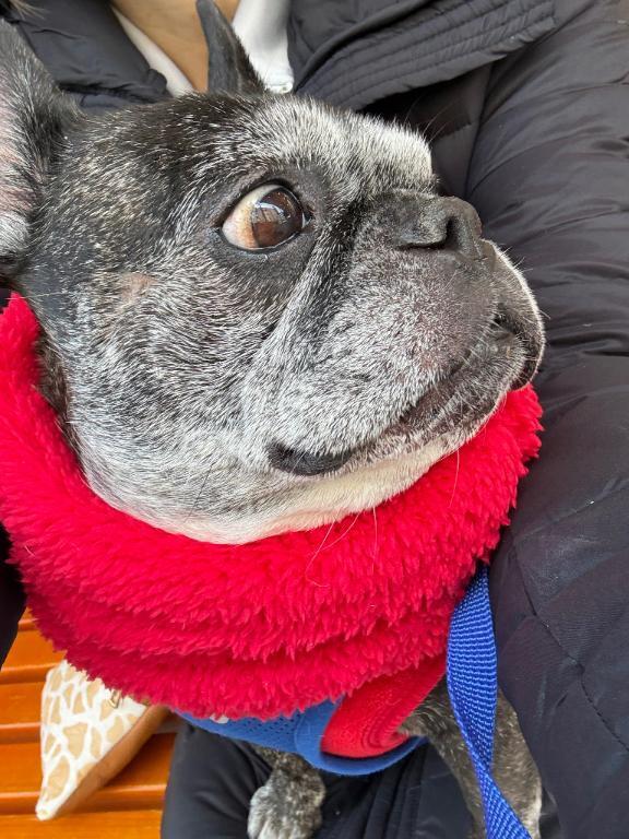 タクシー事情｜写メ日記｜榛之もも｜鶯谷 人妻デリヘル 熟女パラダイス鶯谷店