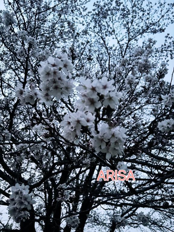 頑張れ～｜写メ日記｜西ありさ｜鶯谷 人妻デリヘル 熟女パラダイス鶯谷店