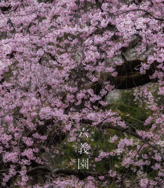 3月のありがとう｜写メ日記｜西ありさ｜鶯谷 人妻デリヘル 熟女パラダイス鶯谷店