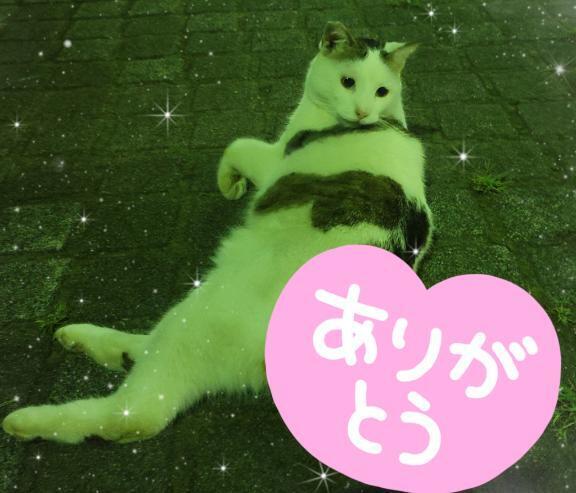 紳士様