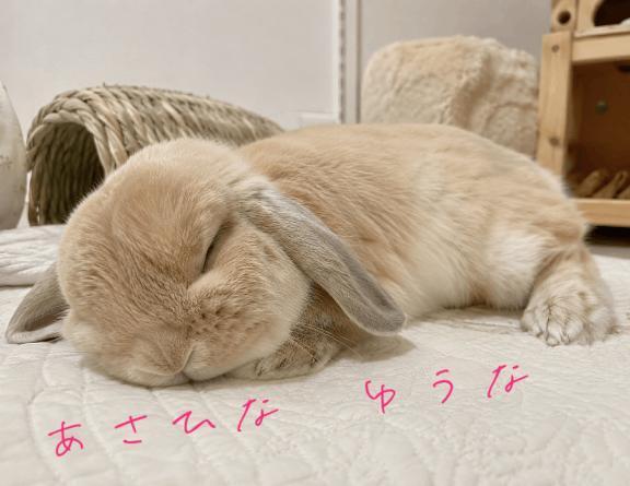 少しお休みいただきます｜写メ日記｜朝比奈ゆうな｜鶯谷 人妻デリヘル 熟女パラダイス鶯谷店