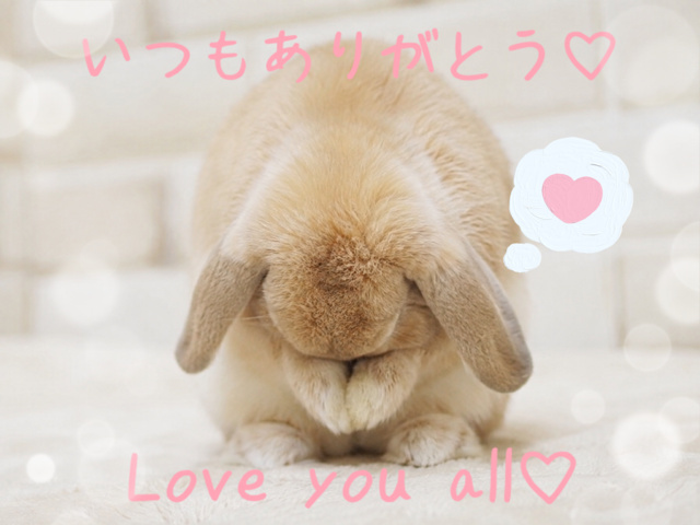 今月のありがとう♡｜写メ日記｜朝比奈ゆうな｜鶯谷 人妻デリヘル 熟女パラダイス鶯谷店