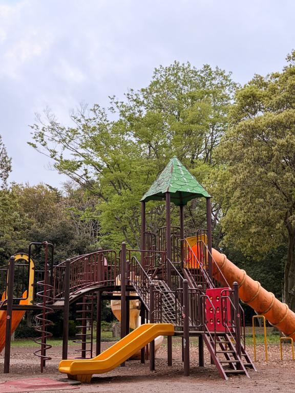 そびえ立つ｜写メ日記｜西島 今日子｜鶯谷 人妻デリヘル 熟女パラダイス鶯谷店