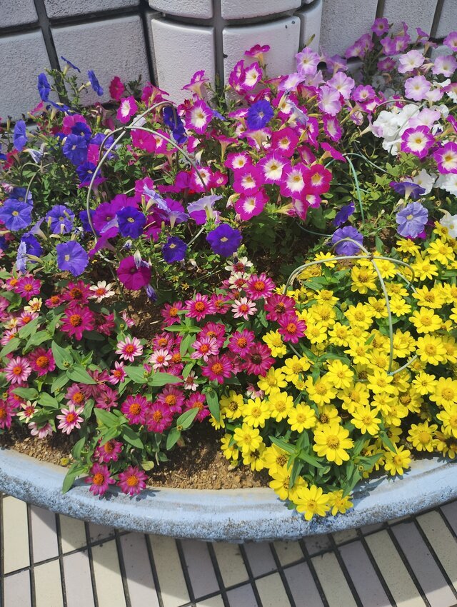みつけました😁｜写メ日記｜滝沢りょうか｜鶯谷 人妻デリヘル 熟女パラダイス鶯谷店