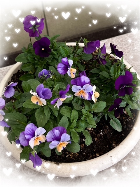 久しぶりの祝日出勤です😄