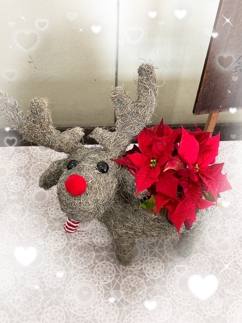 沢山いる中から