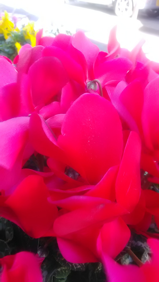 こんにちはです。｜写メ日記｜かんな｜鶯谷 人妻デリヘル 性腺熟女100%鶯谷（デリヘル市場）