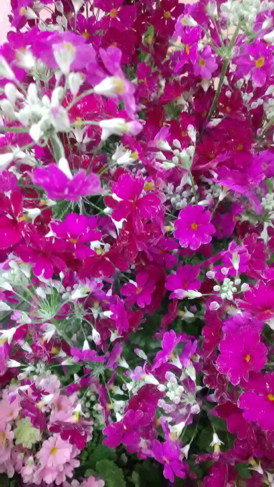 こんばんはです。