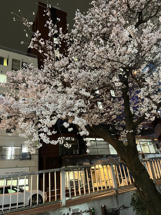 リクエスト曲頂きました。｜写メ日記｜まい｜鶯谷 人妻デリヘル 性腺熟女100%鶯谷（デリヘル市場）