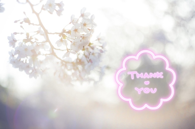 ありがとうございました♪｜写メ日記｜まり｜鶯谷 人妻デリヘル 性腺熟女100%鶯谷（デリヘル市場）