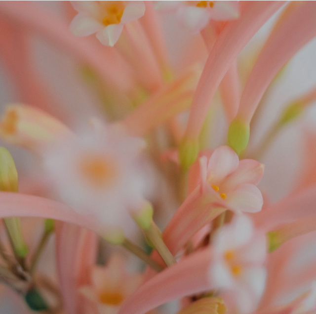 ♡お休みします♡｜写メ日記｜まな｜鶯谷 人妻デリヘル 性腺熟女100%鶯谷（デリヘル市場）