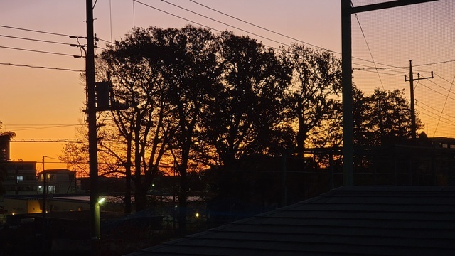 (*￣▽￣) ♪新し～い～ 朝が来た(笑)｜写メ日記｜さわ｜鶯谷 人妻デリヘル 性腺熟女100%鶯谷（デリヘル市場）