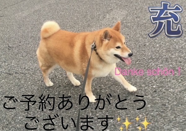ご予約ありがとうございます。｜写メ日記｜みつる｜鶯谷 人妻デリヘル 性腺熟女100%鶯谷（デリヘル市場）