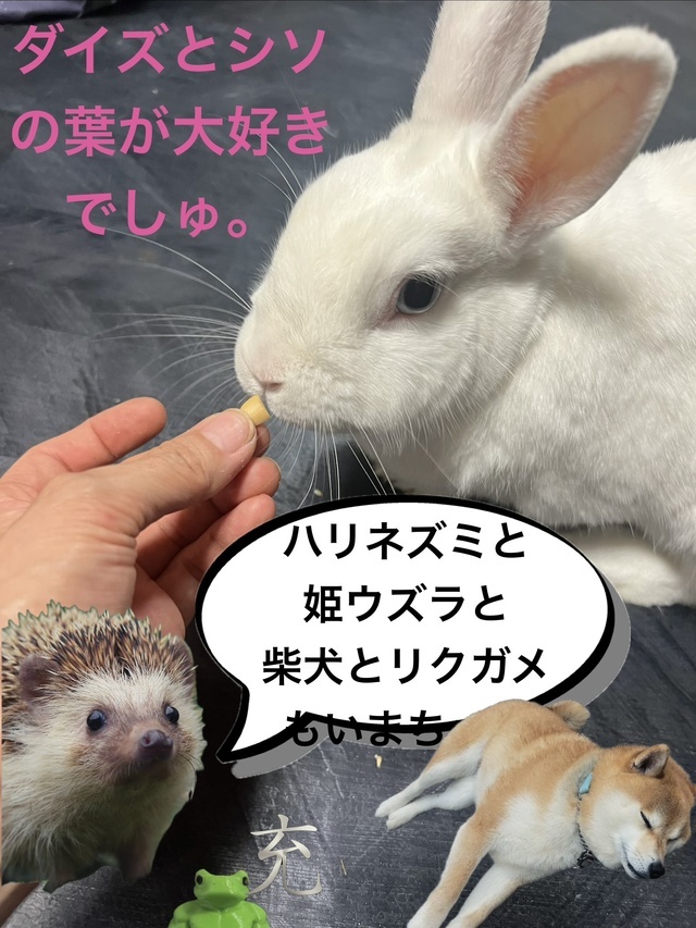 昨日のお礼です。｜写メ日記｜みつる｜鶯谷 人妻デリヘル 性腺熟女100%鶯谷（デリヘル市場）