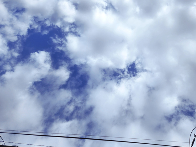 こんにちは♪｜写メ日記｜せな｜鶯谷 人妻デリヘル 性腺熟女100%鶯谷（デリヘル市場）