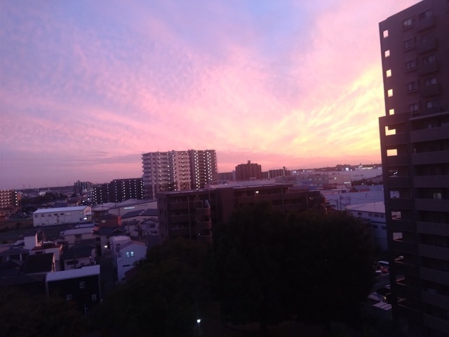 おはようございます｜写メ日記｜ここ｜鶯谷 人妻デリヘル 性腺熟女100%鶯谷（デリヘル市場）